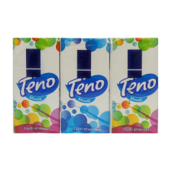 НОСНИ КЪРПИЧКИ ТЕНО/TENO 6БР.